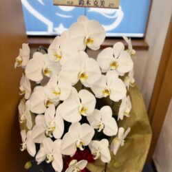 ヒーローズホールディングス代表