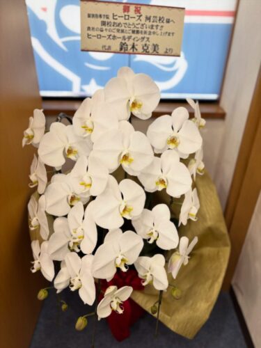 ヒーローズホールディングス代表