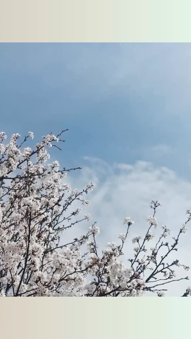 津市河芸町の学習塾　Hero’s河芸校です

月曜日は津市、水曜日は鈴鹿市で各学校の入学式が行われました
ご入学された生徒の皆さま、誠におめでとうございます

新しい環境でのスタートに、不安や期待を感じている方も多いかと思います。
ヒーローズ河芸校では、一人ひとりの生徒に寄り添った個別指導で、新年度の学習をしっかりサポートいたします️

現在、無料体験授業を受付中です
教室の雰囲気や学習スタイルをぜひ一度ご体感ください

お気軽にお問い合わせください

ーーーーーーーーーーーーーーーーー
個別指導塾・学習塾
Hero’s河芸校
OPEN 16:00〜22:00(月-金)
059-261-8130
@heros_kawagekou 
三重県津市河芸町東千里57-1 
河芸マンションT-6号
駐車場 マンション敷地内の50番 
自転車置き場あり
ーーーーーーーーーーーーーーーーー